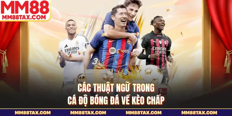 Các thuật ngữ trong cá độ bóng đá về kèo chấp
