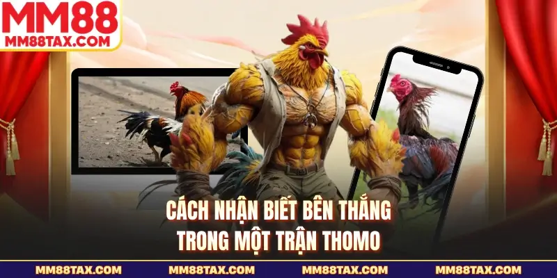 Cách nhận biết bên thắng trong một trận Thomo