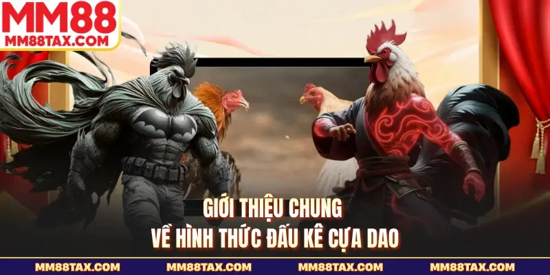 Giới thiệu chung về hình thức đấu kê cựa dao