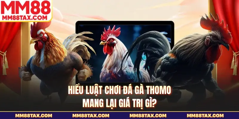 Hiểu luật chơi đá gà Thomo mang lại giá trị gì?
