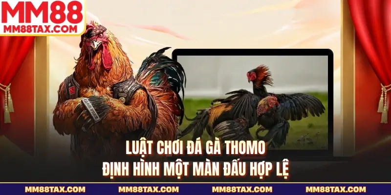 Luật chơi đá gà Thomo định hình một màn đấu hợp lệ