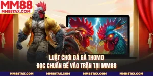 Luật chơi đá gà thomo