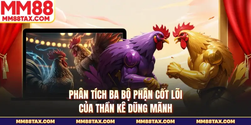 Phân tích ba bộ phận cốt lõi của thần kê dũng mãnh