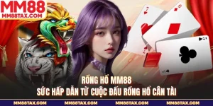 Rồng hổ MM88
