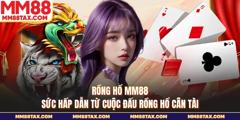 Rồng hổ MM88